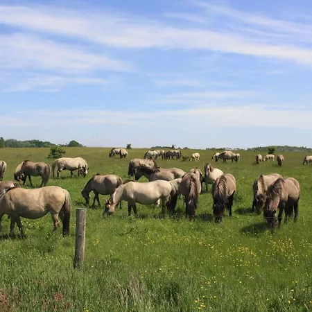 Lejlighed Scheersbergkate