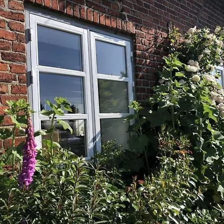 Scheersbergkate * Steinbergkirche